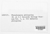 Guignardia philoprina image